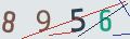 verifycode